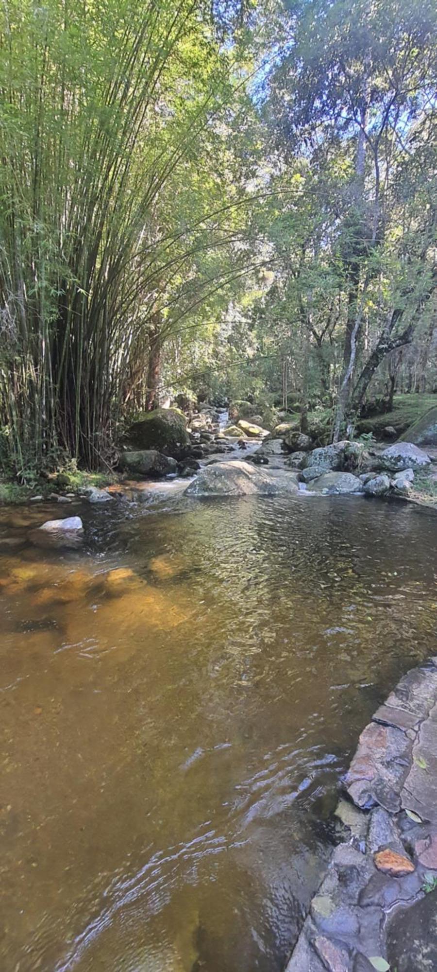 Ap Centro Cascatinha Prox Parque Apartment Nova Friburgo Bagian luar foto