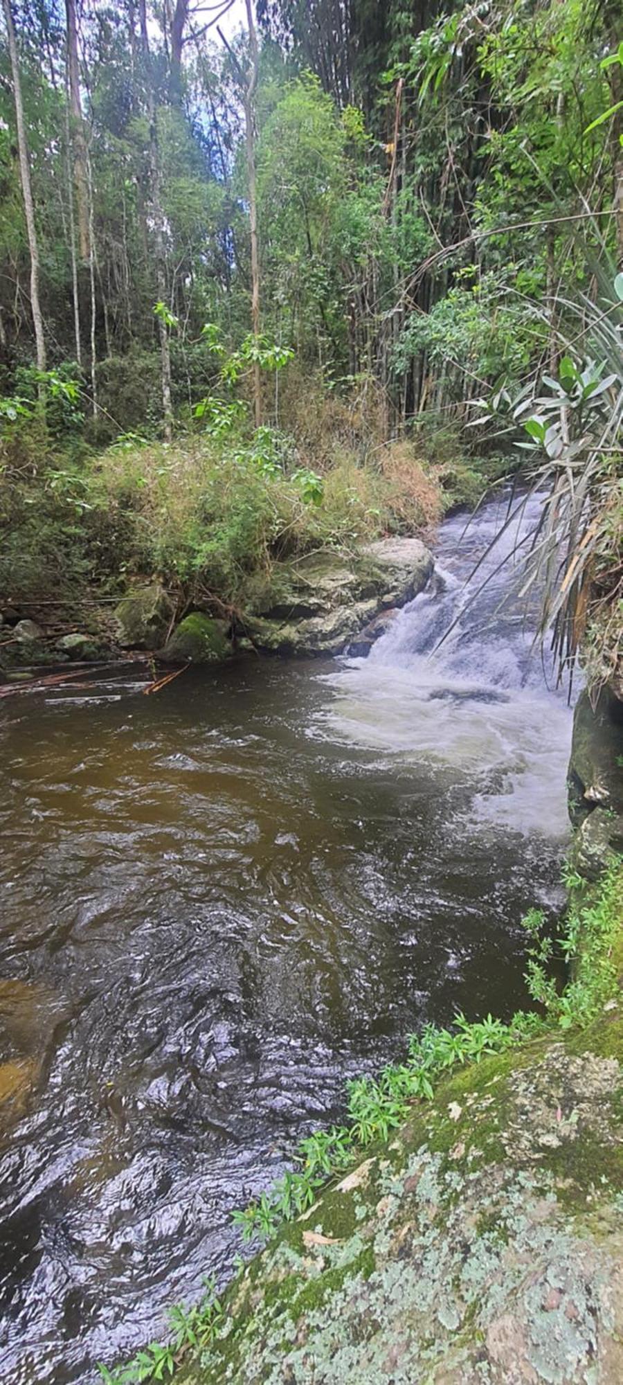 Ap Centro Cascatinha Prox Parque Apartment Nova Friburgo Bagian luar foto